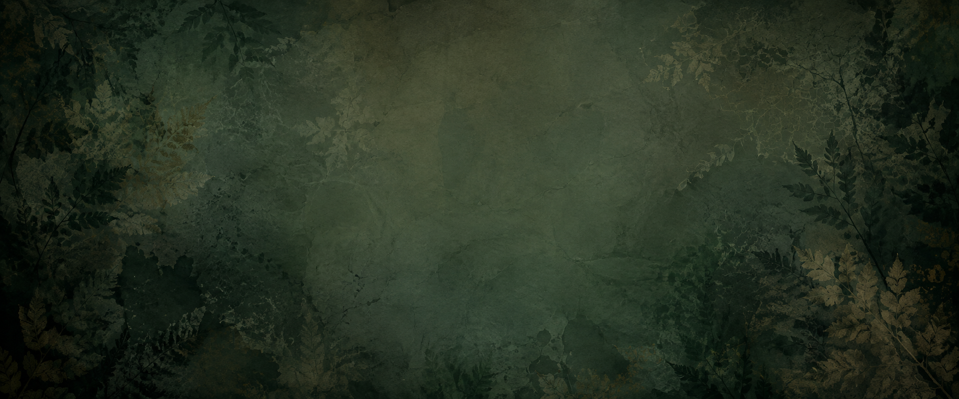 bg15