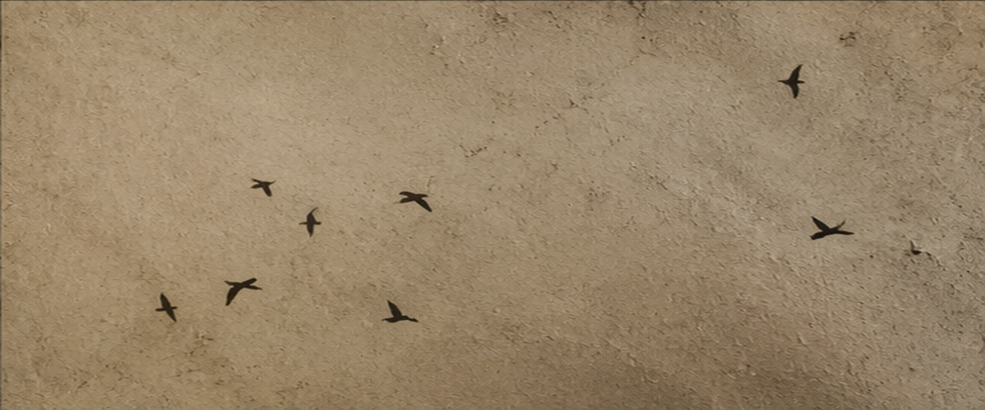 horrorbirds